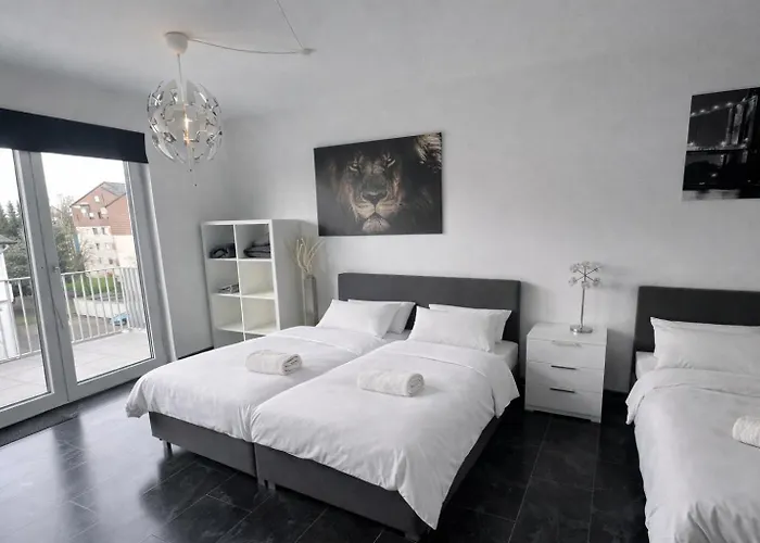 Exklusive Moderne Giessen Stadtnaehe Mit Balkon